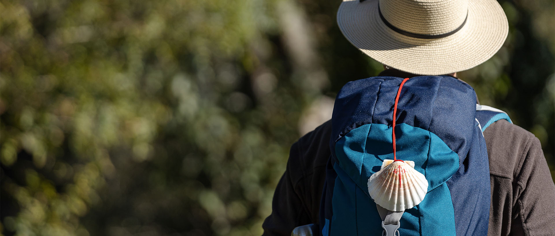 pilgrim-carrying-a-backpack-with-camino-de-santiag-2023-11-27-05-30-30-utc (1)